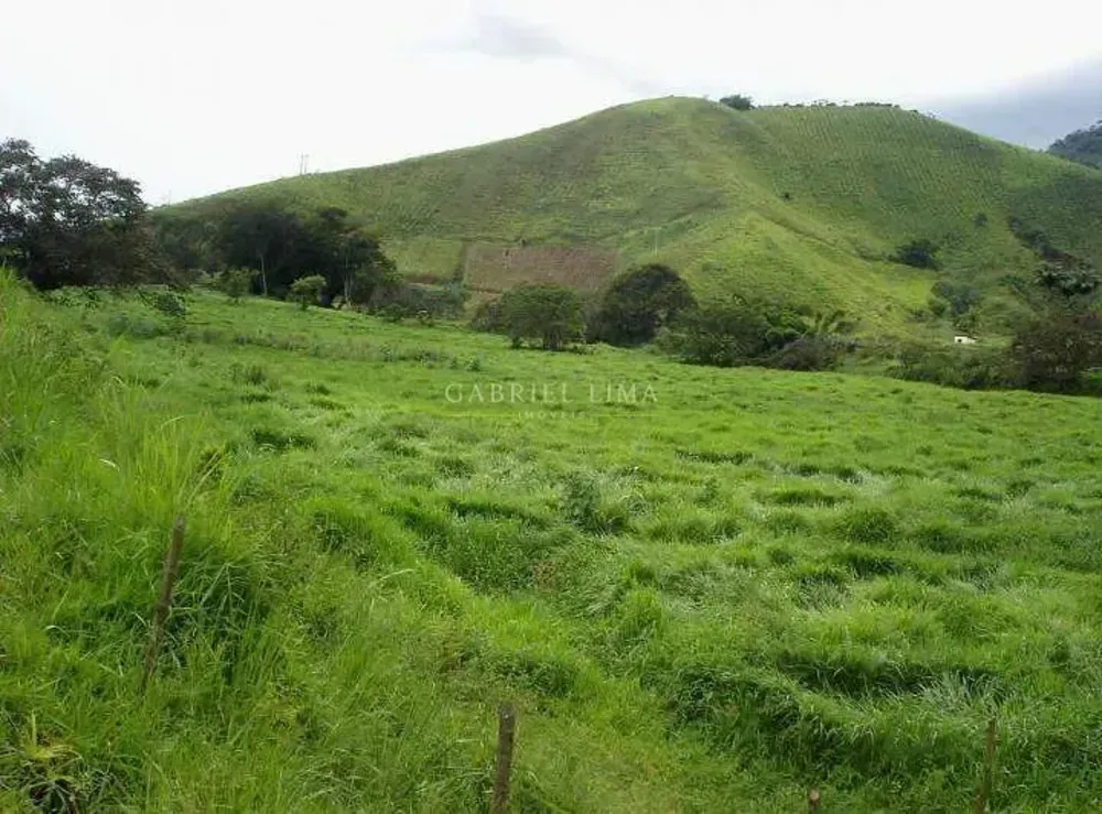 Fazenda, 500 hectares - Foto 7