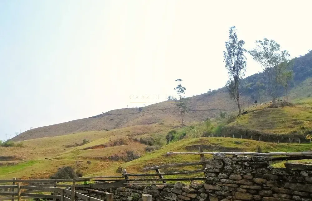Fazenda, 500 hectares - Foto 8
