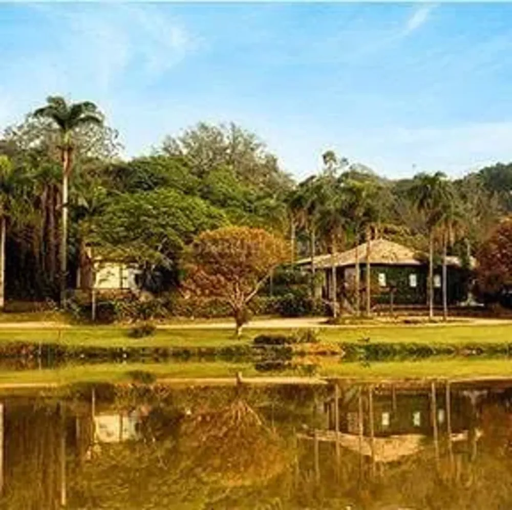 Terreno, 800 m² - Foto 9