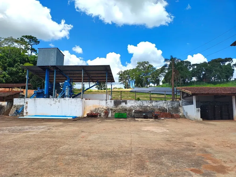 Fazenda, 16990 hectares - Foto 4