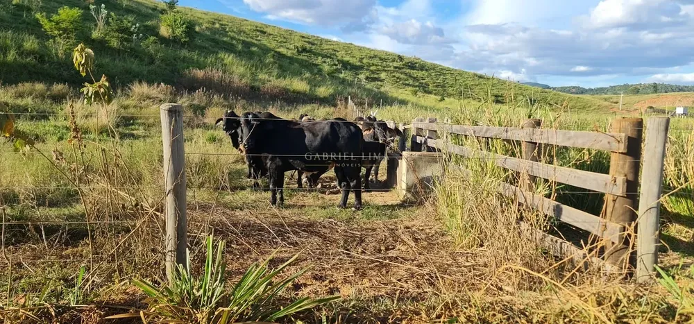 Fazenda, 186 hectares - Foto 4