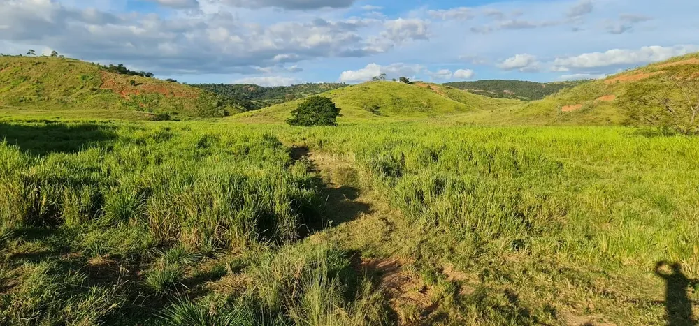 Fazenda, 186 hectares - Foto 1