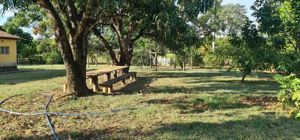 Fazenda, 186 hectares - Foto 3