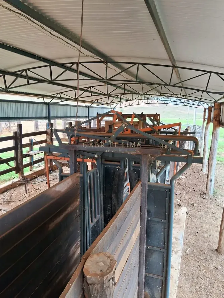 Fazenda, 186 hectares - Foto 8