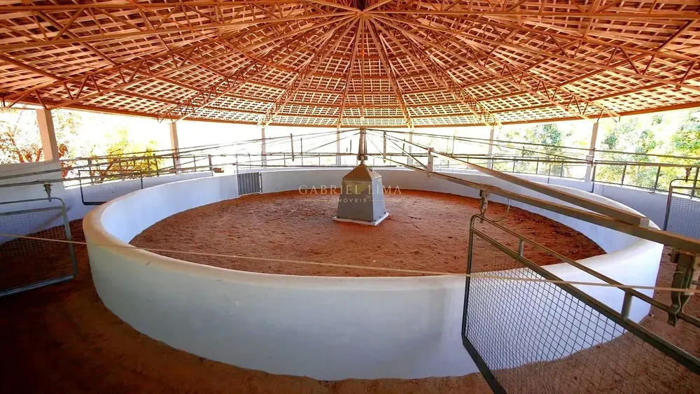 Fazenda, 39 hectares - Foto 4
