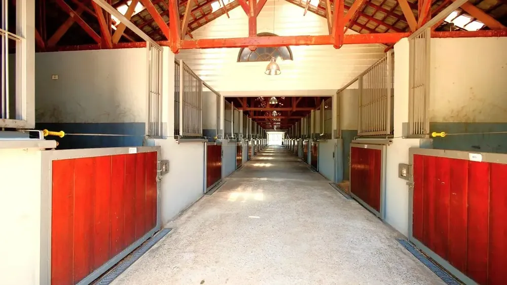 Fazenda, 39 hectares - Foto 2