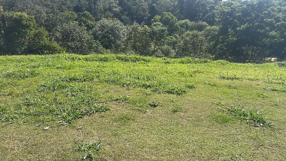 Terreno, 489 m² - Foto 1