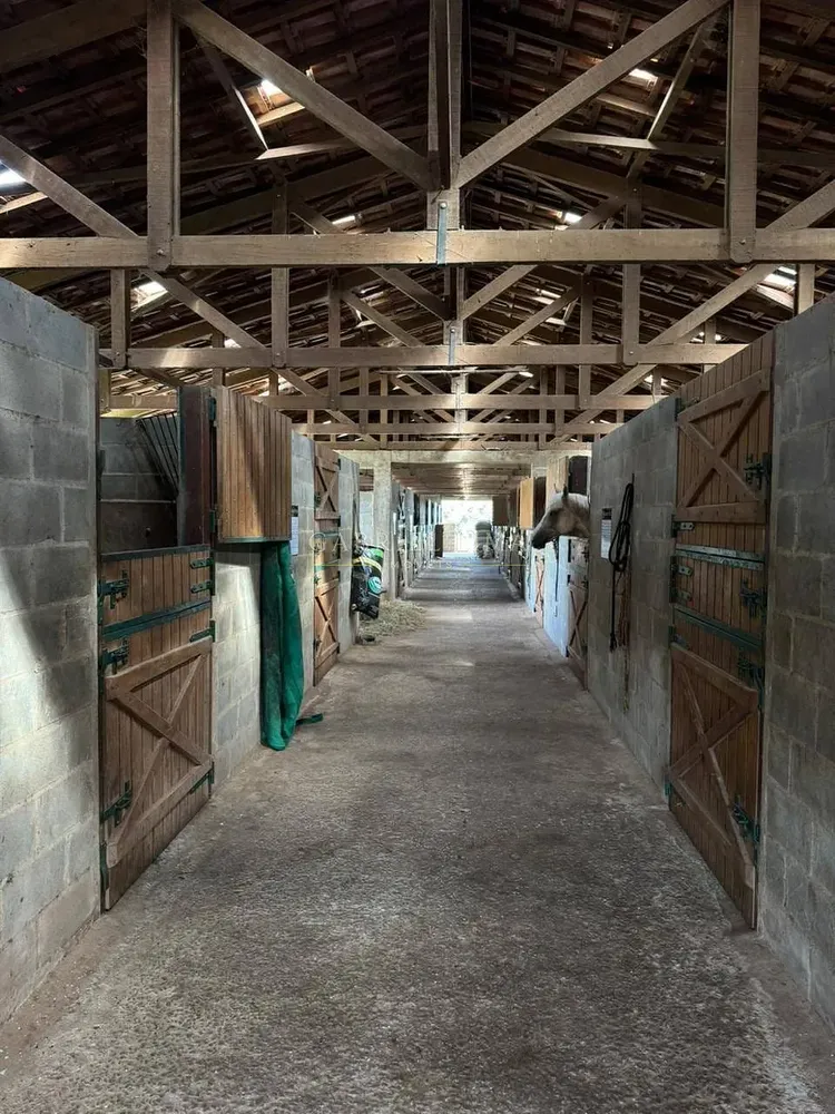 Fazenda, 20 hectares - Foto 1