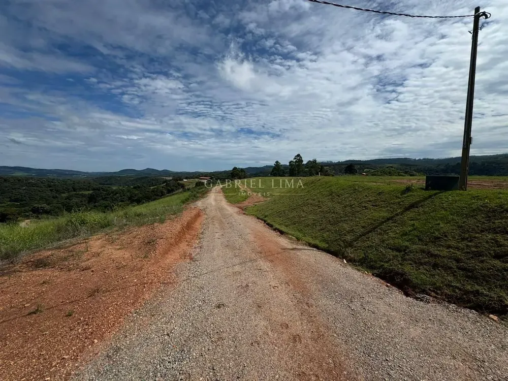 Fazenda, 20 hectares - Foto 7