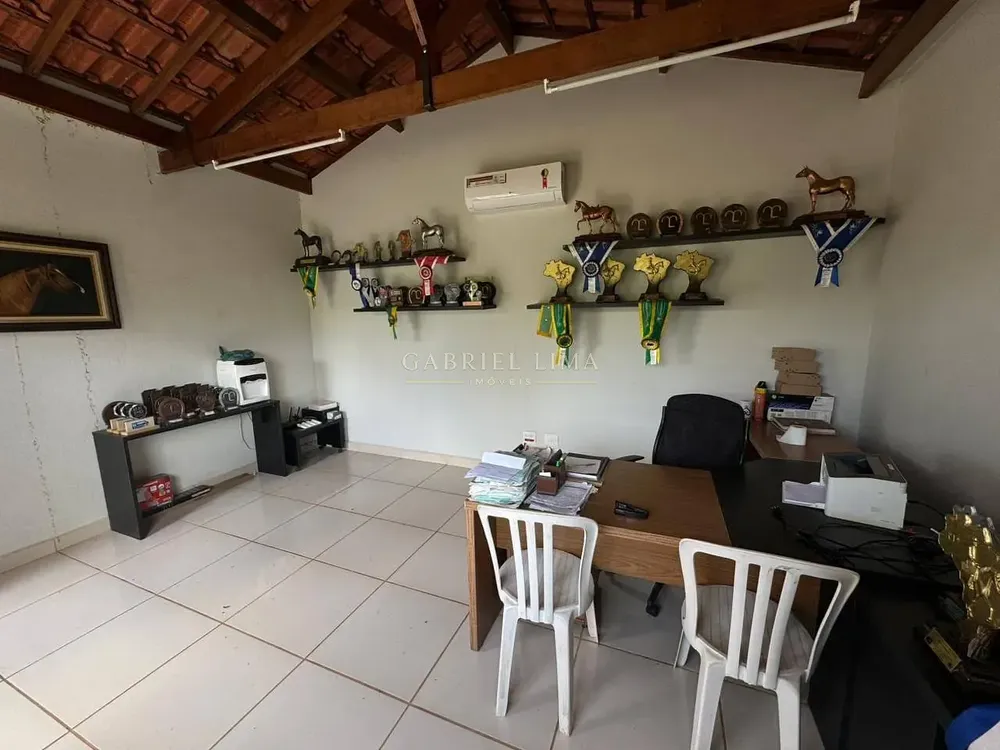 Fazenda, 20 hectares - Foto 6