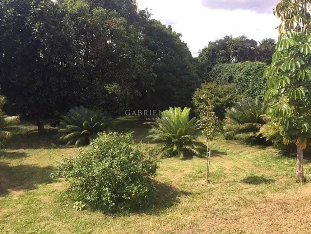 Chácara, 3 quartos, 5000 m² - Foto 3