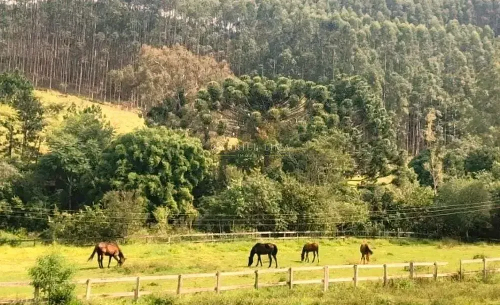 Fazenda, 453 hectares - Foto 1