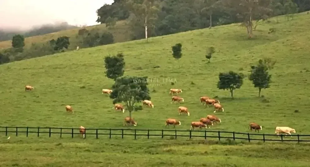 Fazenda, 453 hectares - Foto 2