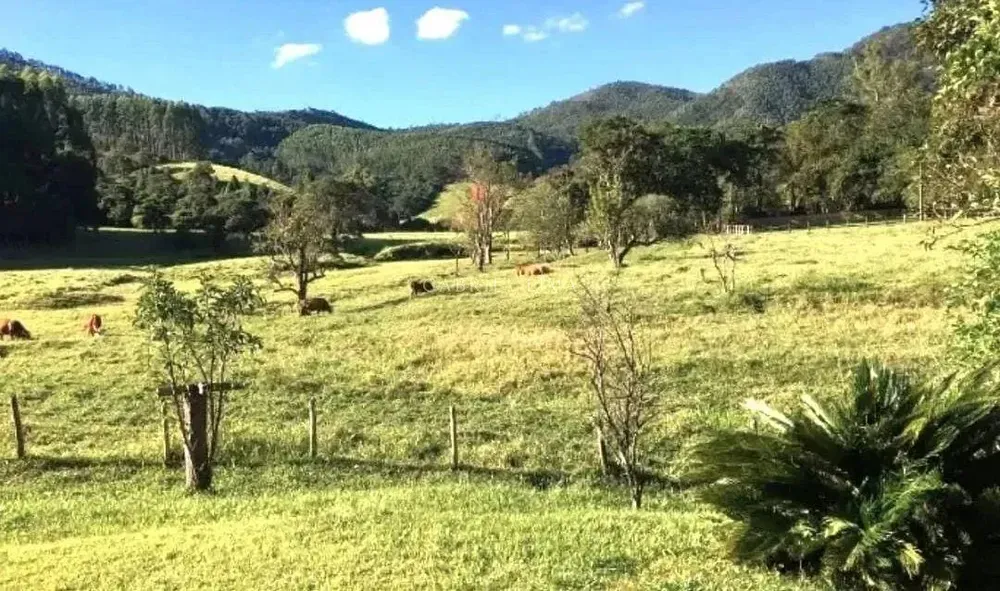 Fazenda, 453 hectares - Foto 7