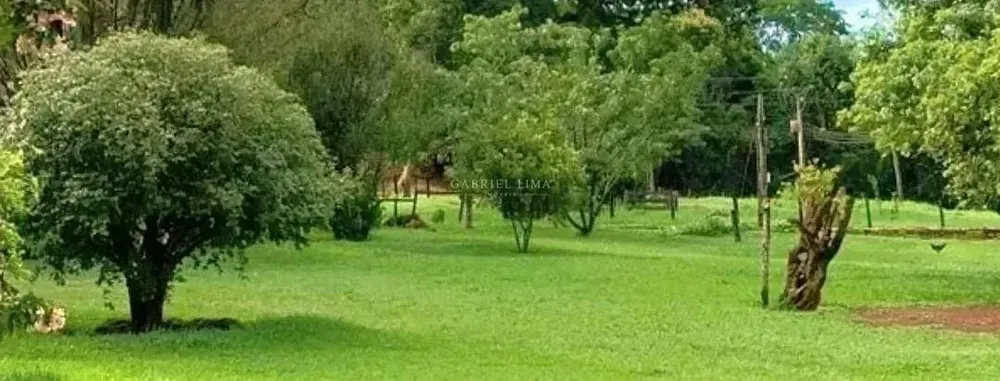 Fazenda, 453 hectares - Foto 3