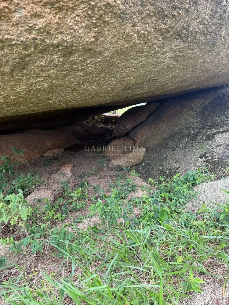 Fazenda, 217 hectares - Foto 2