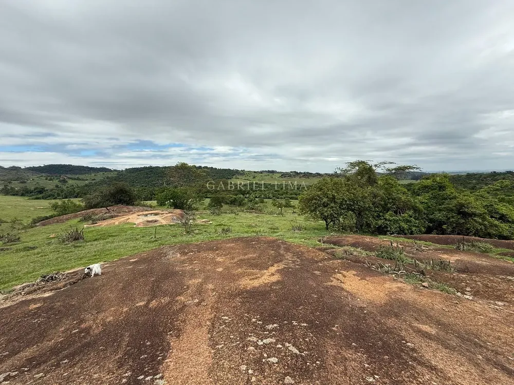 Fazenda, 217 hectares - Foto 7