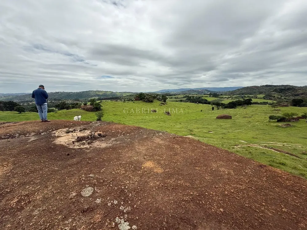 Fazenda, 217 hectares - Foto 3