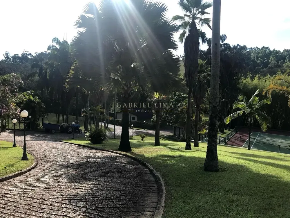 Chácara, 4 quartos, 60 hectares - Foto 7