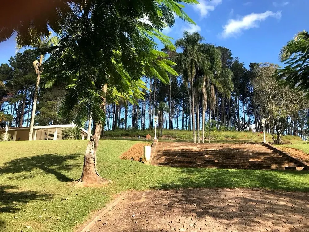 Chácara, 4 quartos, 60 hectares - Foto 4