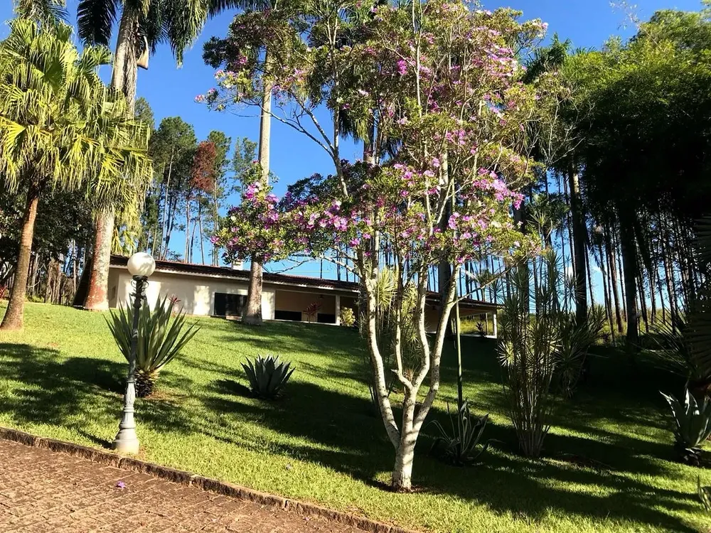 Chácara, 4 quartos, 60 hectares - Foto 2