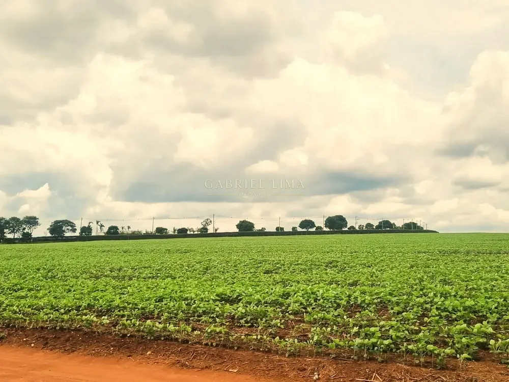 Terreno, 78 hectares - Foto 10
