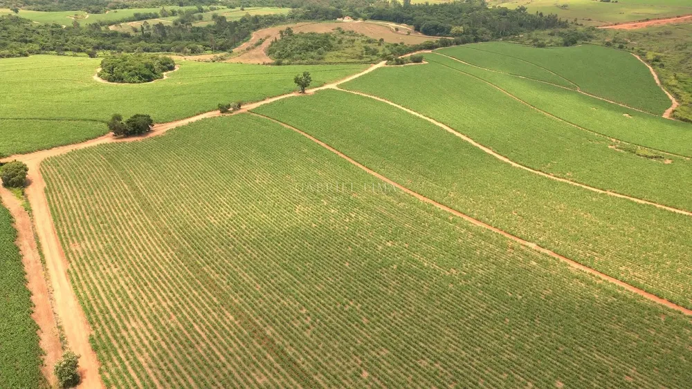 Terreno, 78 hectares - Foto 6