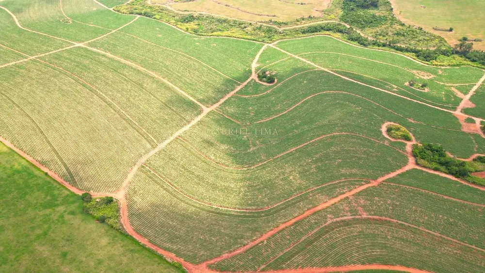 Terreno, 78 hectares - Foto 4