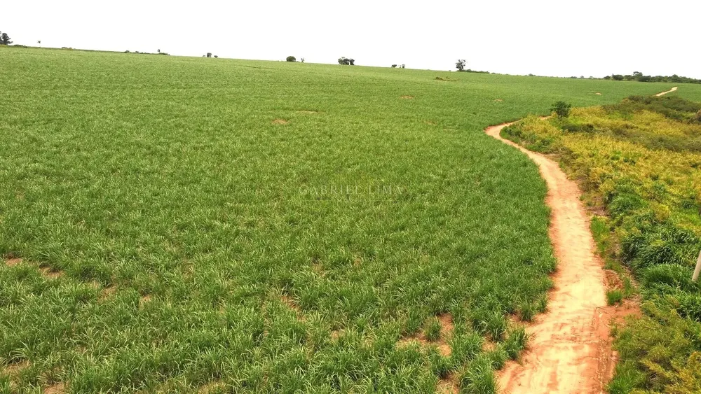 Terreno, 78 hectares - Foto 8