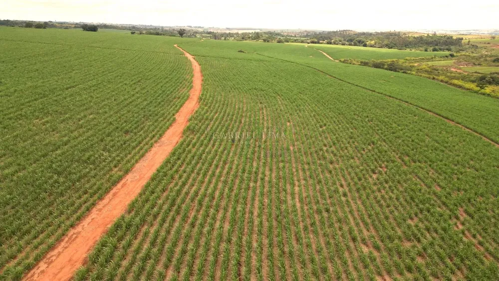 Terreno, 78 hectares - Foto 3