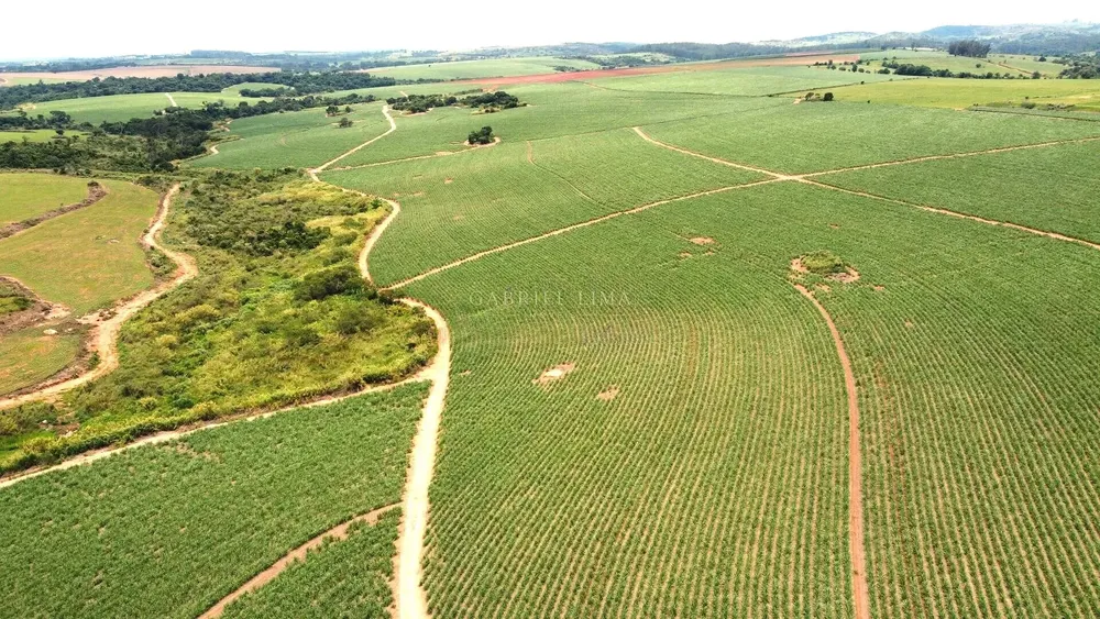 Terreno, 78 hectares - Foto 2
