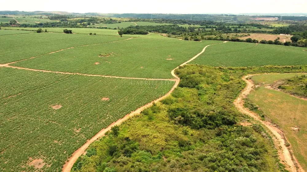 Terreno, 78 hectares - Foto 7