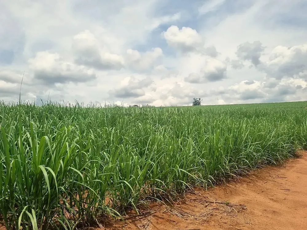 Terreno, 78 hectares - Foto 9