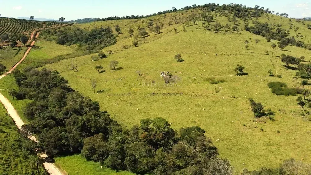 Fazenda, 451 hectares - Foto 5