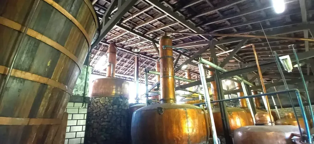 Fazenda, 451 hectares - Foto 1