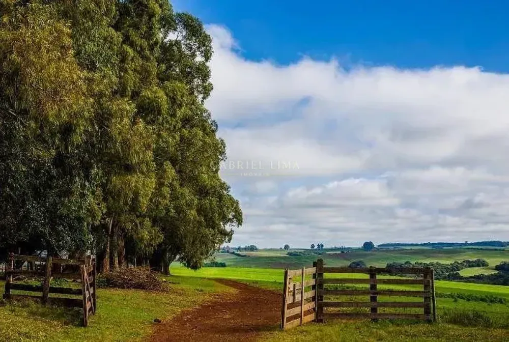 Fazenda, 30500 hectares - Foto 10