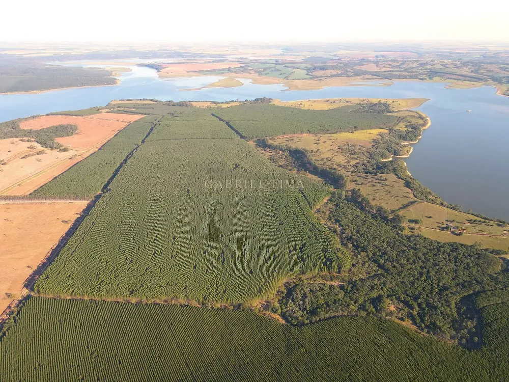 Fazenda, 358 hectares - Foto 6