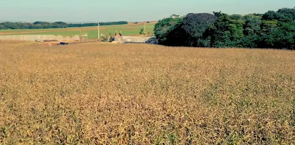 Fazenda, 692 hectares - Foto 6