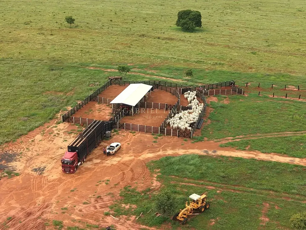 Fazenda, 3256 hectares - Foto 2