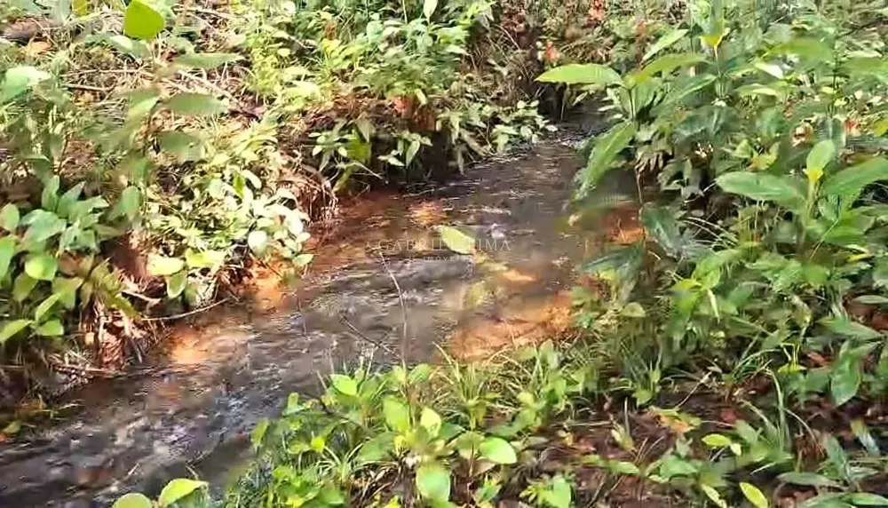 Fazenda, 3256 hectares - Foto 7