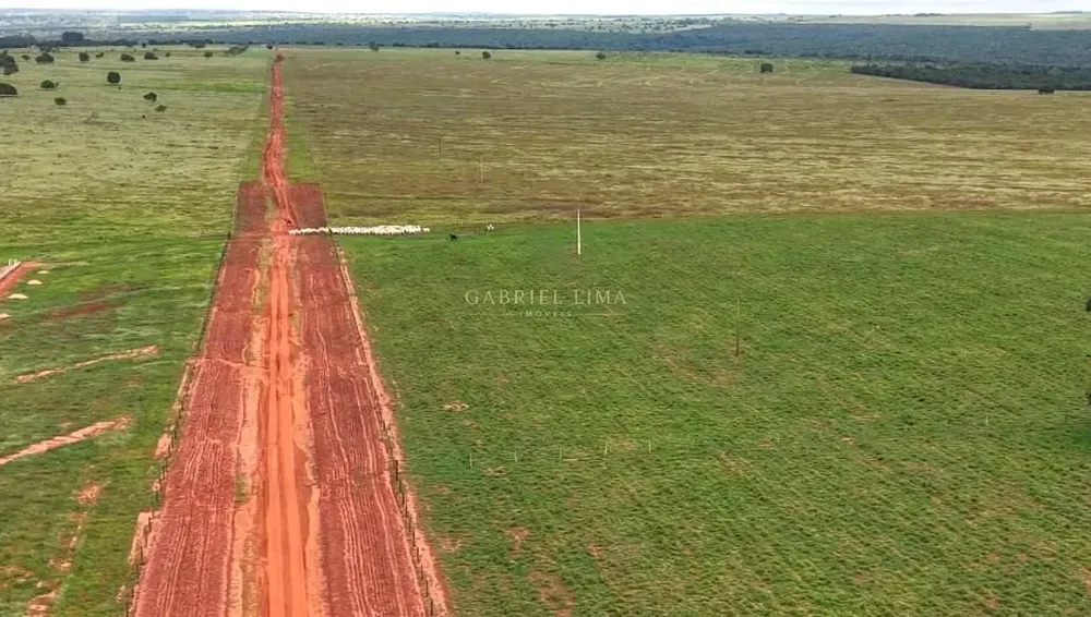 Fazenda, 3256 hectares - Foto 4