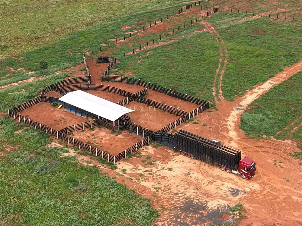 Fazenda, 3256 hectares - Foto 3