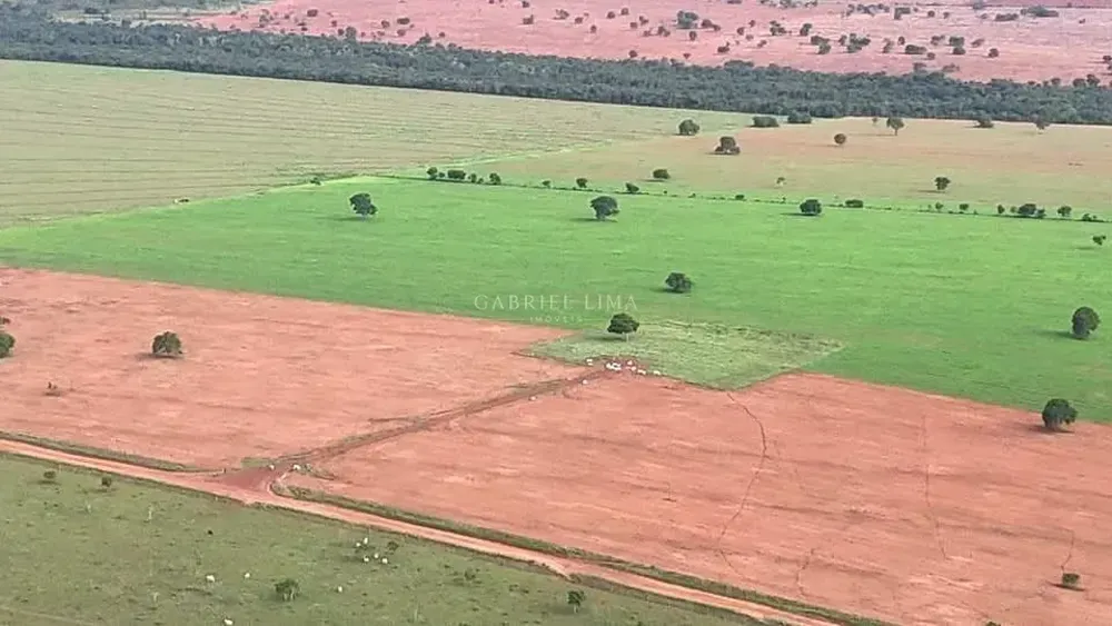 Fazenda, 3256 hectares - Foto 6