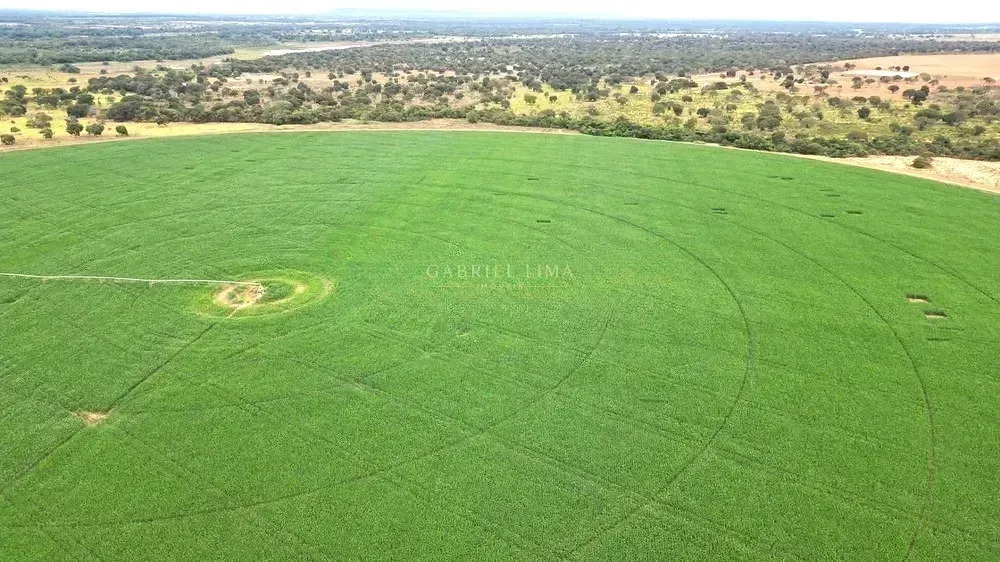 Fazenda, 2132 hectares - Foto 2