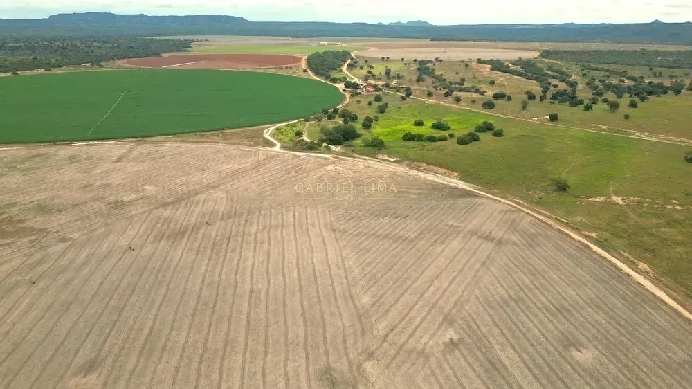 Fazenda, 2132 hectares - Foto 9
