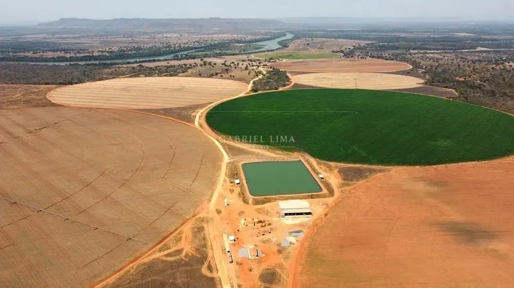 Fazenda, 2132 hectares - Foto 4