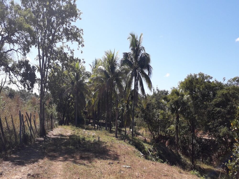 Chácara, 3 quartos - Foto 8