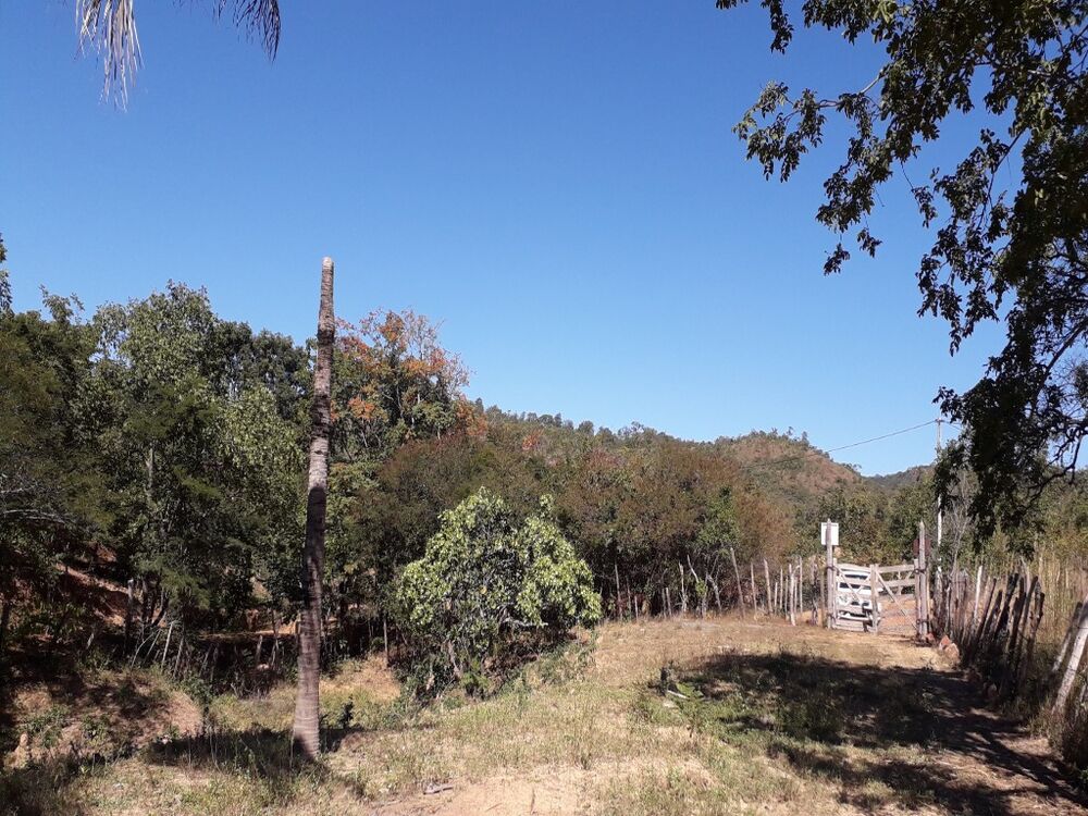 Chácara, 3 quartos - Foto 7