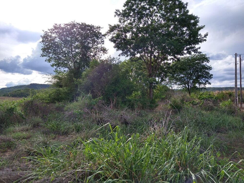 Terreno à venda, 3000m² - Foto 3