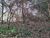 Terreno, 3000 m² - Foto 2